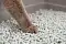 Cat's choice Бумажный комкующийся наполнитель для кошек с цветовым индикатором комка #2