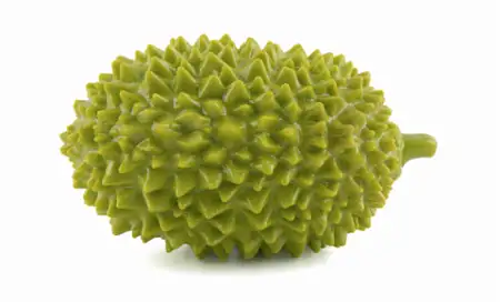 Купить wogy Игрушка-пищалка для собак "Дуриан"