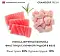 GRANDORF FRESH Консервы для кошек Филе тунца с куриной грудкой в желе #4